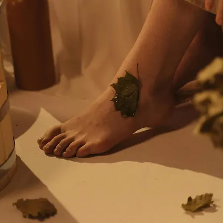 Szálloda Arctic Panorama Rovaniemi