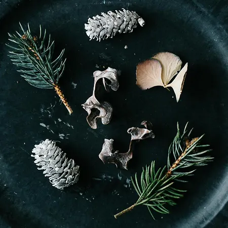 Arctic Panorama Rovaniemi