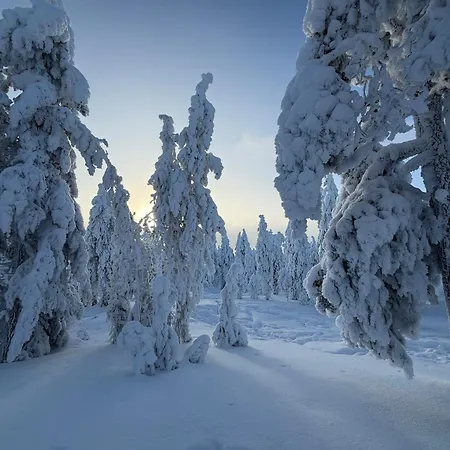 Ξενοδοχείο Arctic Panorama 5*